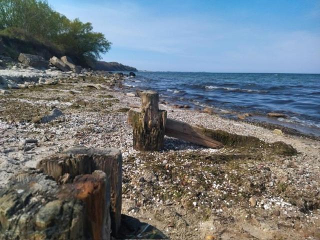 Gdynia Apartament Torpedownia المظهر الخارجي الصورة